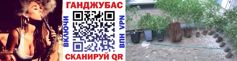 Шишки марихуана OG Kush  Бобров 
